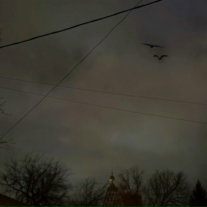 Loc-Dog, PHARAOH - Черные Вороны (Не До Абстракций II)