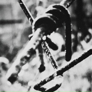 Miyagi feat. HLOY - Ограды