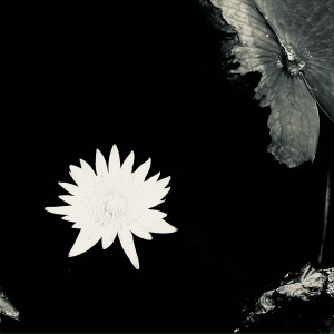 Miyagi & Эндшпиль - Наоборот