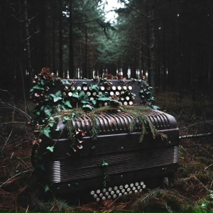 XLAD - Сыпь, гармоника