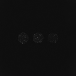 TRITIA, Loc-Dog - Не тебя