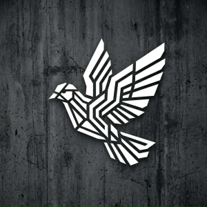 DJZHUKOV - Одинокий голубь