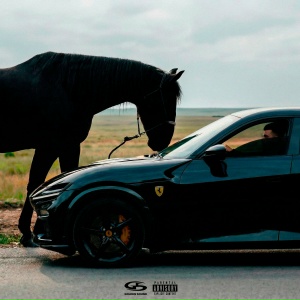 Jakone, MACAN - Purosangue