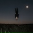 SALUKI - EUPHORIA
